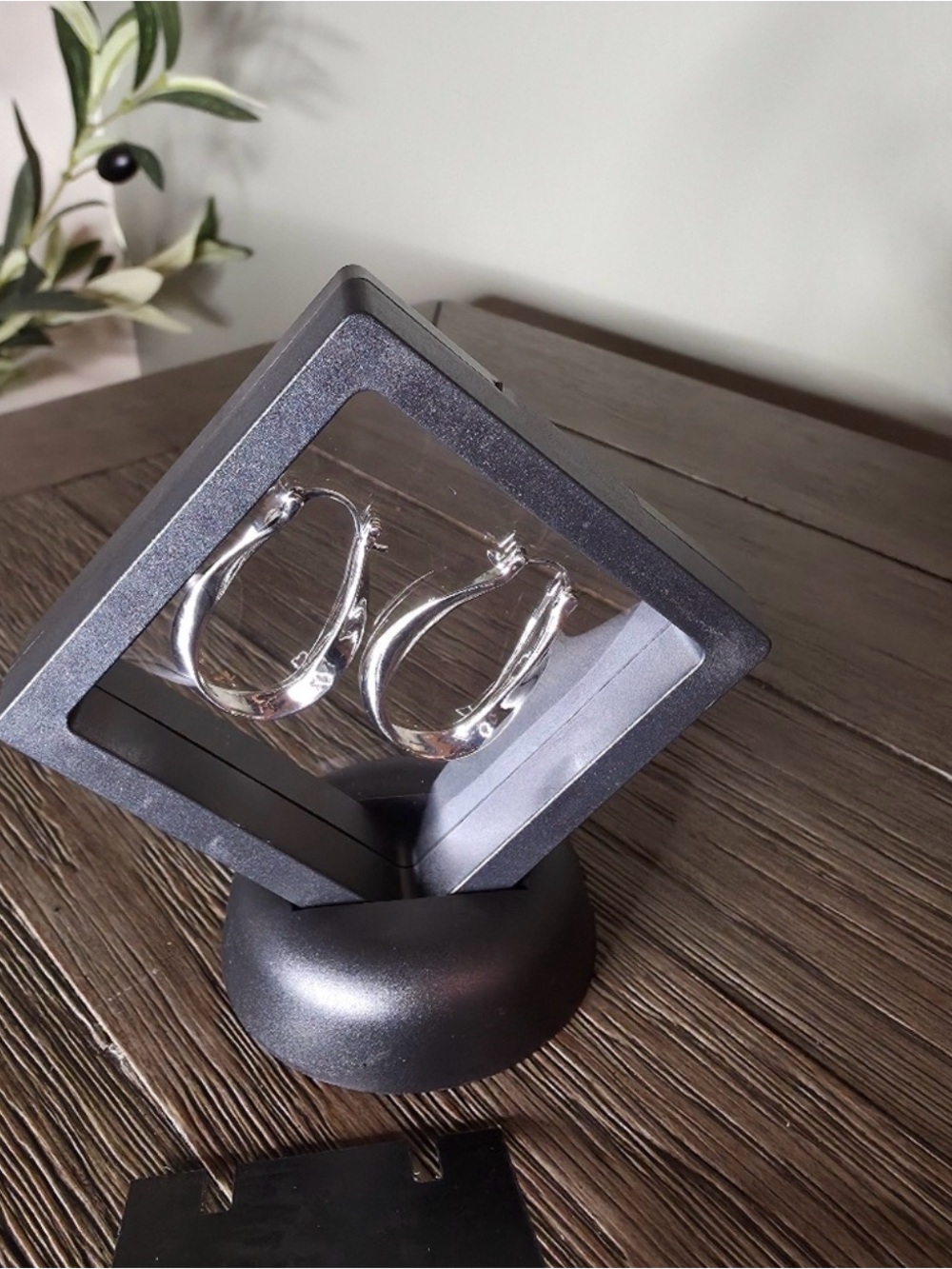 Silver Hoop Earrings in Floating
Display